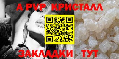 бошки Гай