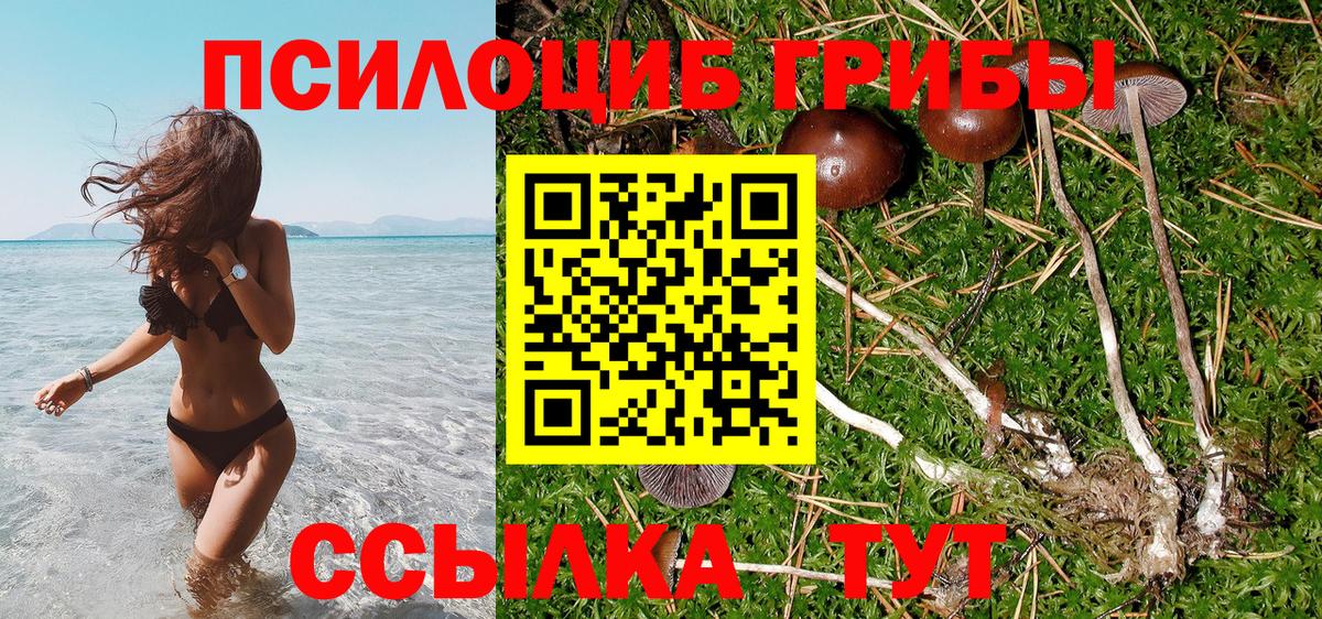 как найти закладки  Вход с VPN  Первоуральск  Галлюциногенные грибы Cubensis 